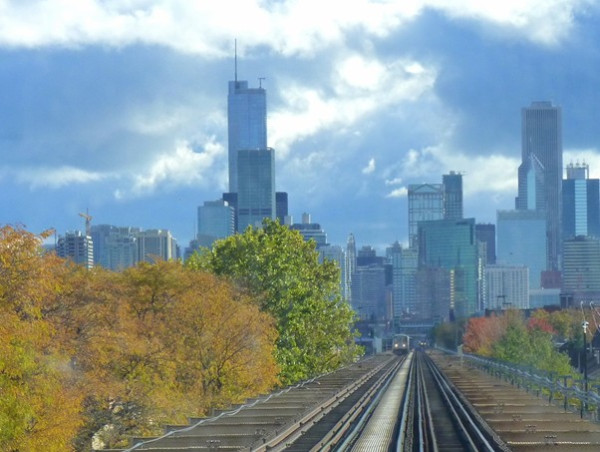  A Journal of Environmental Sciences Study Investigates Trees Best Suited for Cities 