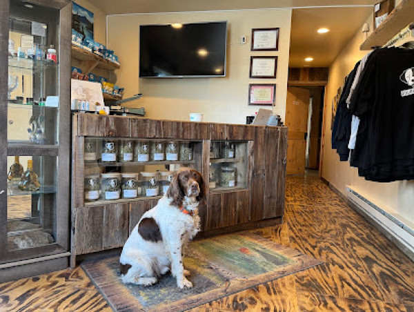 Double Dogs Dispensary Expands Regulated Cannabis Access in Four Corners, Montana
