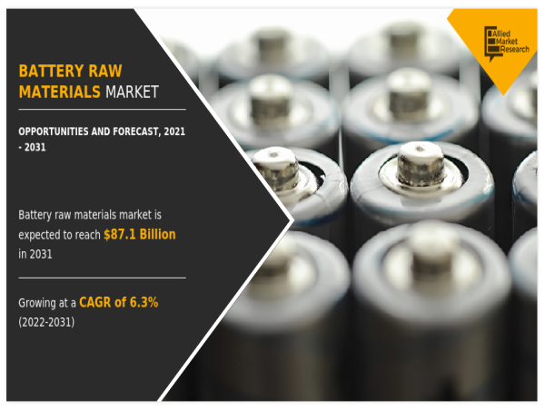Battery Raw Materials Industry: Key Applications, Challenges, and Market Projections, 2031