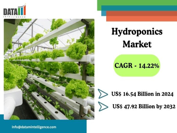 Hydroponics Market Set to Reach $47.92B by 2032, Driven by Tech and Sustainability Trends | DataM Intelligence