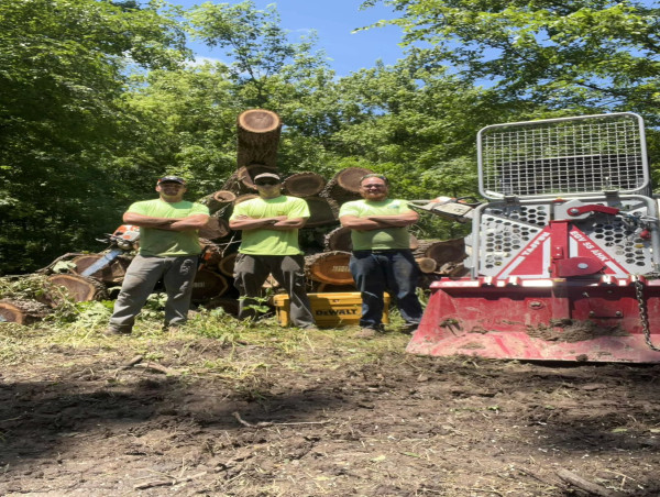  Grade Timber Becomes Authorized Illinois Dealer for Tajfun Forestry Equipment 