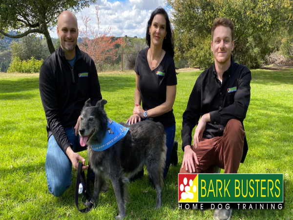 Bark Busters Greater Los Angeles Named Best Dog Trainers in Pasadena, CA by Blackbird News