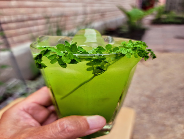 Chef Adán Medrano Reimagines a Traditional Mexican Beverage with Moringa