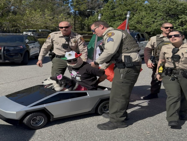 Swaggy Wolfdog’s Owner Files Civil Rights Lawsuit Following Viral Arrest in Ventura County