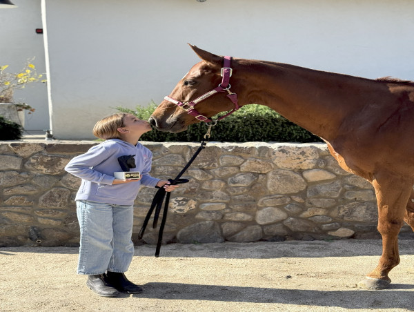Pacific Coast Arena League (PCAL) Hosts Season Opener at OC Polo Club