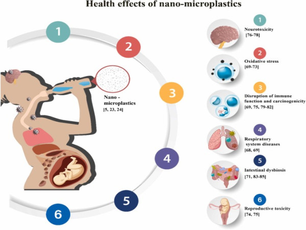  Nano- and Micro-plastics in Our Bodies: A Comprehensive Review of Risks and Research Opportunities 
