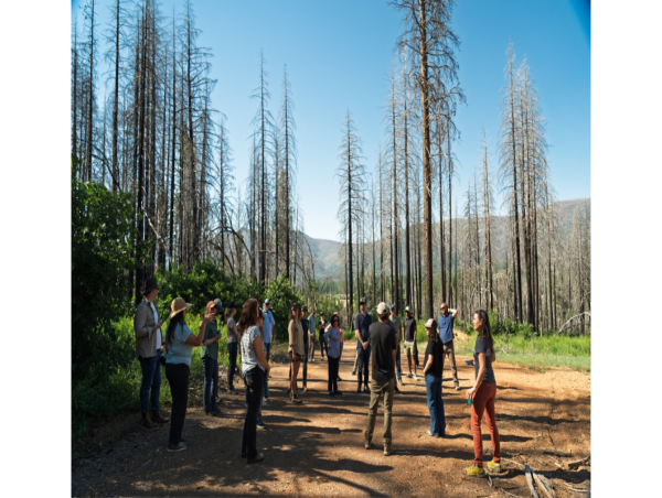 Partners advance forest health on fire-impacted landscape, protecting communities and State Water Project headwaters