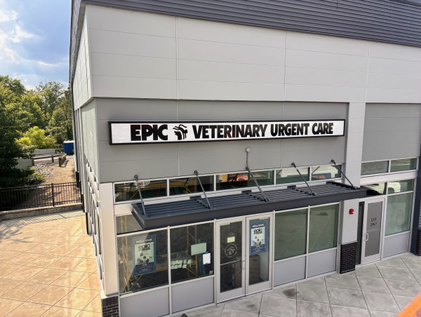 From Dream to Reality: EPIC Veterinary Urgent Care Brings Compassionate, Walk-In Pet Care to Cherry Hill