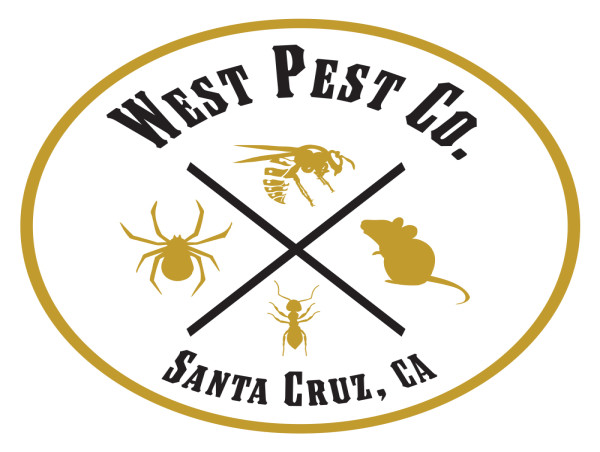 West Pest Co. Expands Child-Safe Home Pest Control and Inspections in Santa Cruz to Target Rodents, Ants, and Spiders