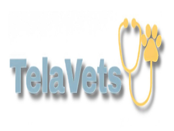  TelaVets Launches Virtual Vet Platform: Affordable Online Veterinary Care Nationwide 