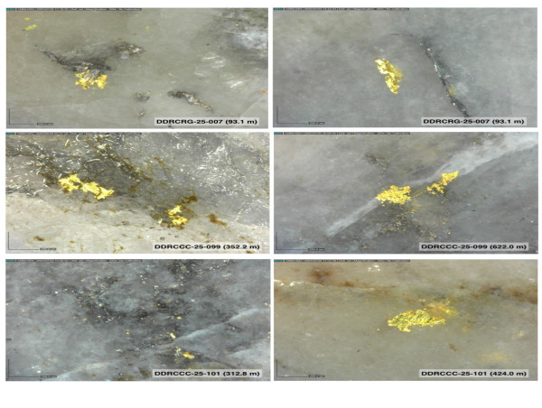 Sitka Provides an Update on Drilling at Its RC Gold Project, Yukon, with Visible Gold Observed in All Holes Drilled to Date at the Rhosgobel Target