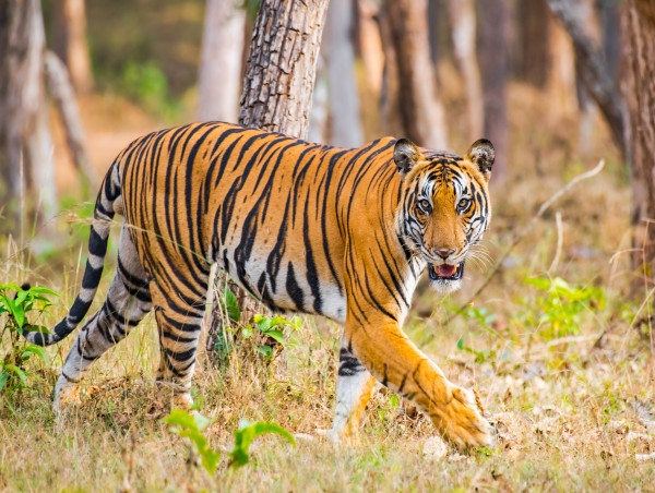 Karnataka Tourism to Host Exclusive Roadshow in Kolkata to Engage Travel Trade