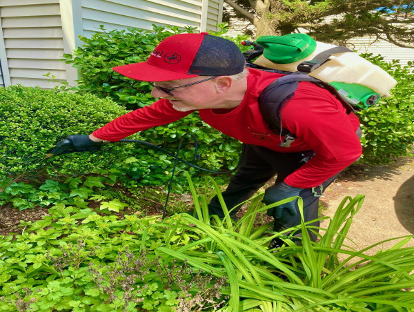 Consumers Increasingly Search 'Pest Control Near Me' — Turning to Family-Owned Local Pest and Termite Experts