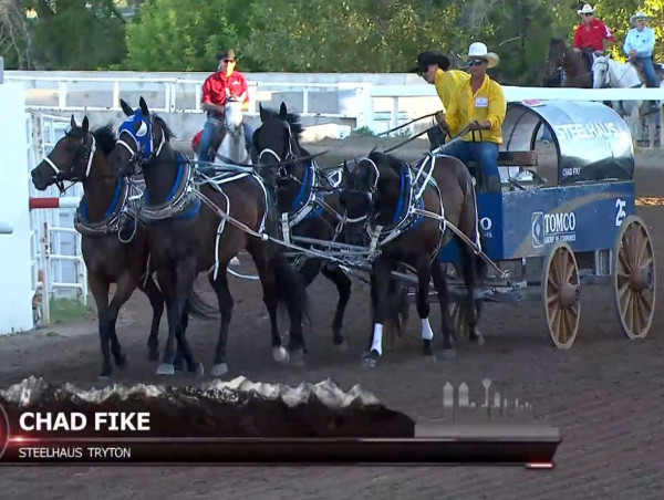 Horse euthanized due to serious injury in Calgary Stampede chuckwagon races