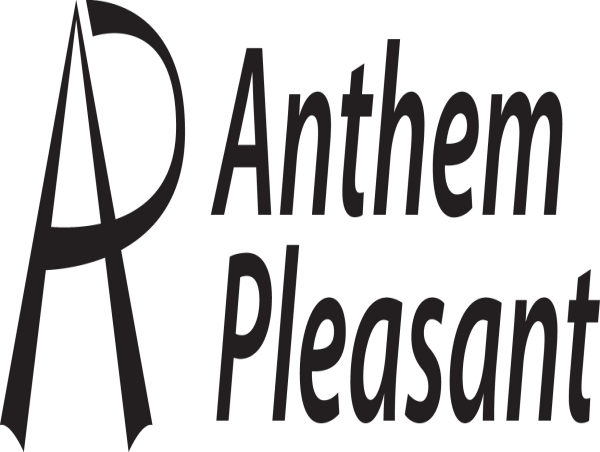  Anthem Pleasant: A Proven Innovator with 20+ Years of Business Leadership 