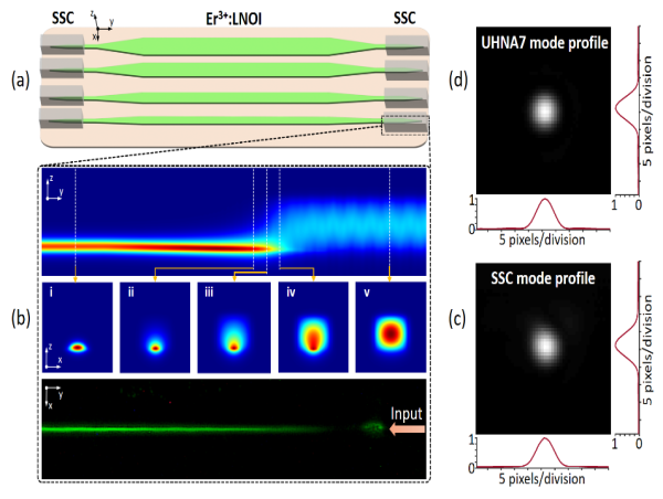 Erbium-doped thin-film lithium niobate waveguide amplifier achieves >10 dB on-chip net gain