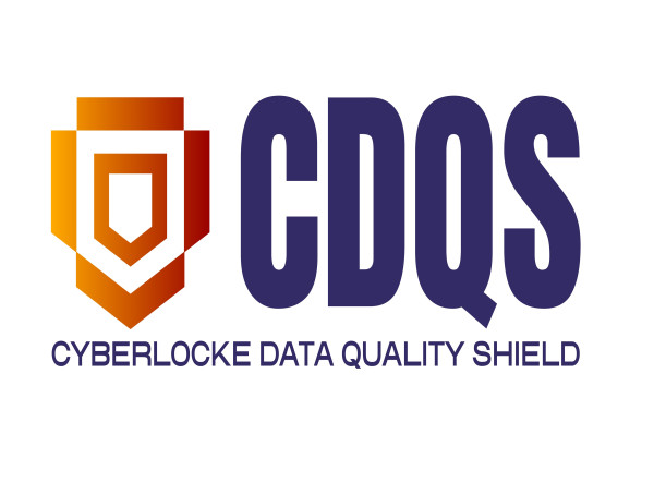 Cyberlocke Expands Data Assurance Platform with New DQS Framework