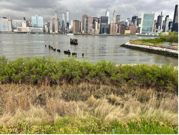 Frank Ottomanelli to host celebration for Hunters Point South Park Urban Land Institutes 2025 Award for excellence