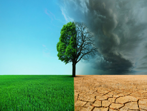 Les IAs Bas Carbone certifiées COP29 de GenerIA répondent en tous points aux recommandations exprimées par l’UNESCO
