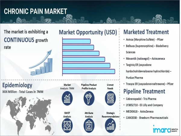 Chronic Pain Market Epidemiology Report 2025-2035: Drugs Pipeline, Therapies, and Forecast