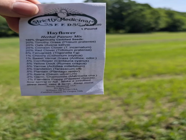 Bell Township Farmer Cody Deluisio Unveils Eight‑Acre 'Medicinal Pasture' Test Plot to Boost Health and Rebuild Soil 
