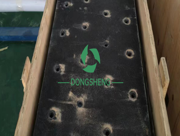 DONGSHENG Metal Expands Presence as Key Player in the Precious Metal Recycling Industry