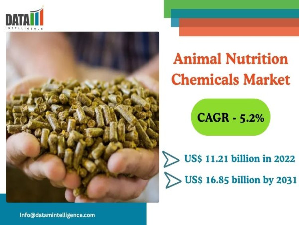 Animal Nutrition Chemicals Market Size to Hit US$16.85 Bn by 2031,Driven by Sustainable Feed Demand | DataM Intelligence