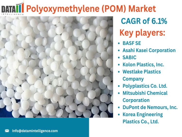  Polyoxymethylene (POM) Market Overview | Key Players, Latest Developments & Outlook 2025 | DataM Intelligence 