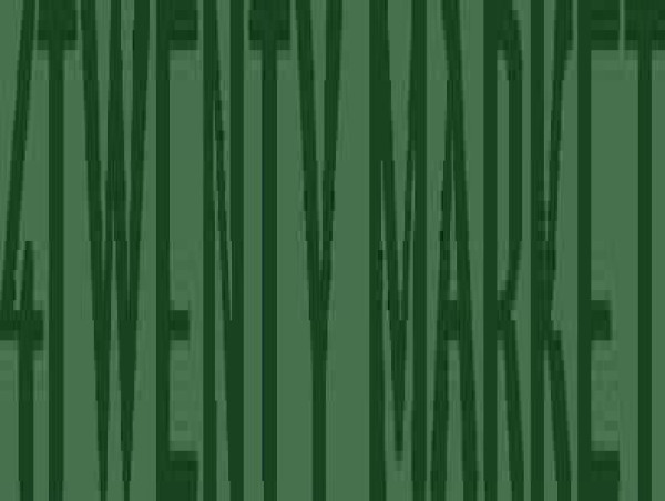 4Twenty Market Provides Cannabis Access and Selection in West Hollywood