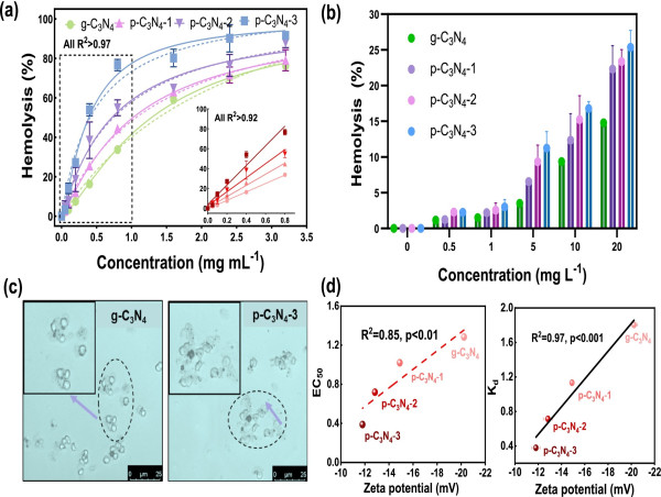 Surface protonation amplifies carbon nitride nanosheet-induced phospholipid extraction