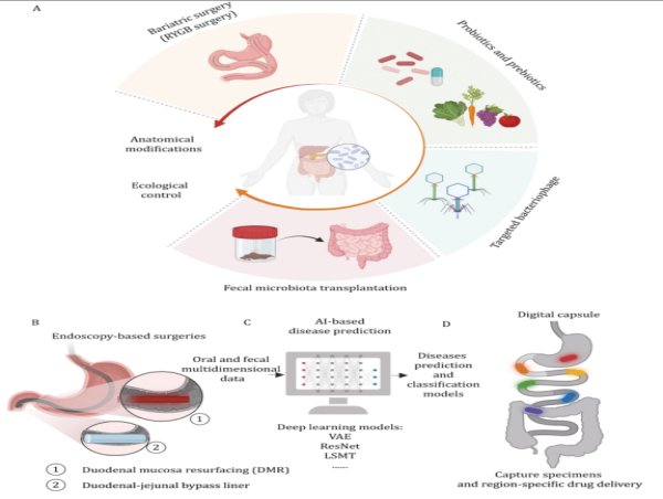  Mapping microbial frontiers: Gut geography unlocks new avenues for disease therapy 