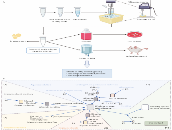  Breaking barriers: Novel fatty acid solution preparation improves cellular lipid research 
