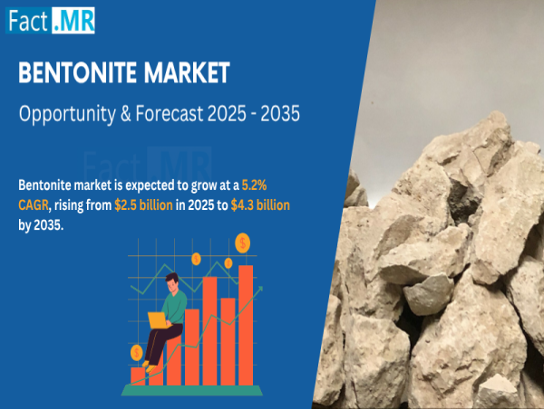 Bentonite Market is Expected to Reach a Valuation of USD 4.3 Billion by 2035 | Fact.MR Report