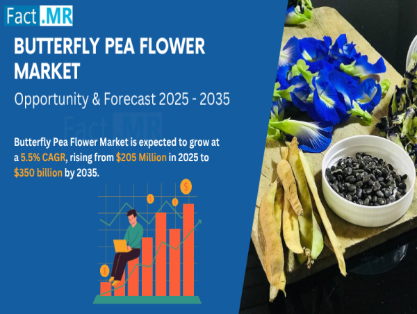  Butterfly Pea Flower Market Set to Surpass USD 350 Million With Growing at 5.5% CAGR by 2035. 