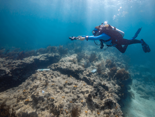 AI Meets the Ocean: CeruleanAI Brings High-Powered Reef Monitoring to the World