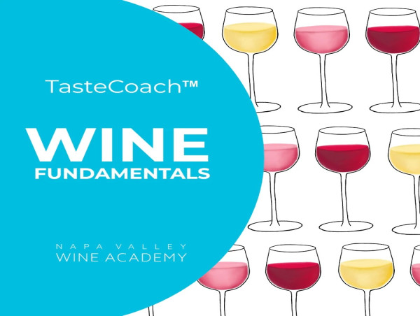 Napa Valley Wine Academy Launches Taste Coach™ Wine Fundamentals Certification