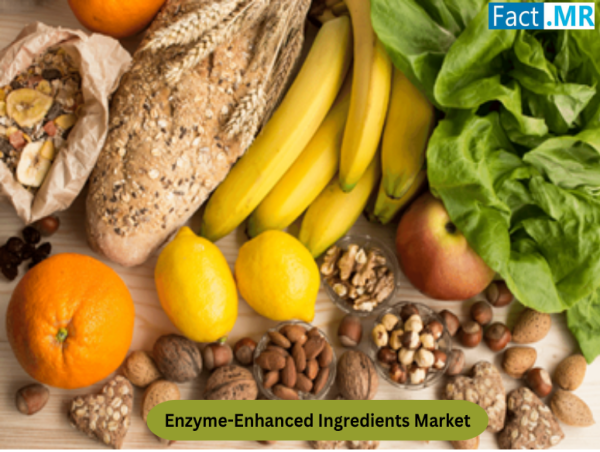  Enzyme-Enhanced Ingredients Market Set to Grow at 6.4% CAGR by 2034, Driven by Clean Label Demand. 