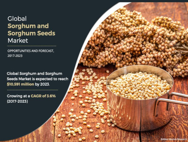  Sorghum And Sorghum Seeds Market Size Projected To Reach Approximately USD 10,591 Million 