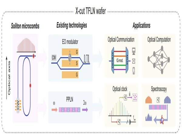 Soliton microcombs in X-cut LiNbO3 microresonators