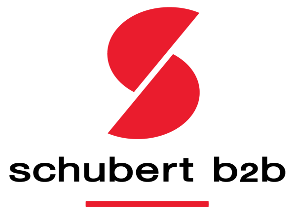 New Schubert b2b Blog Explains How AI is Reshaping Google Ads Strategy for B2B Marketers