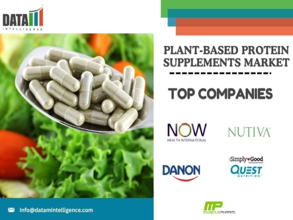 Latest Research on Global Plant-Based Protein Supplements Market Growth Projections & Opportunities To 2032