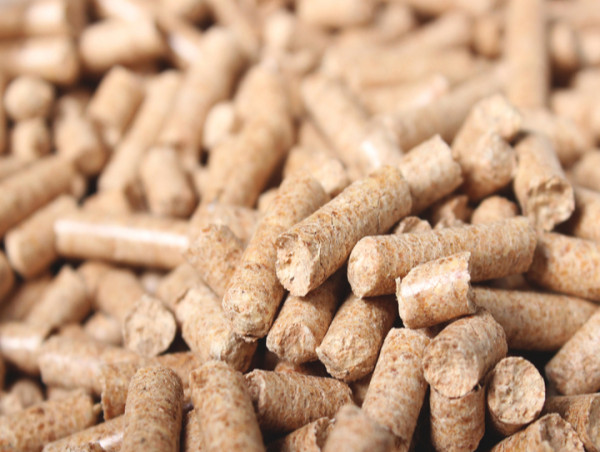  Biomass Pellets Market By Application Analysis, Regional Outlook, Competitive Strategies And Forecast 2033 