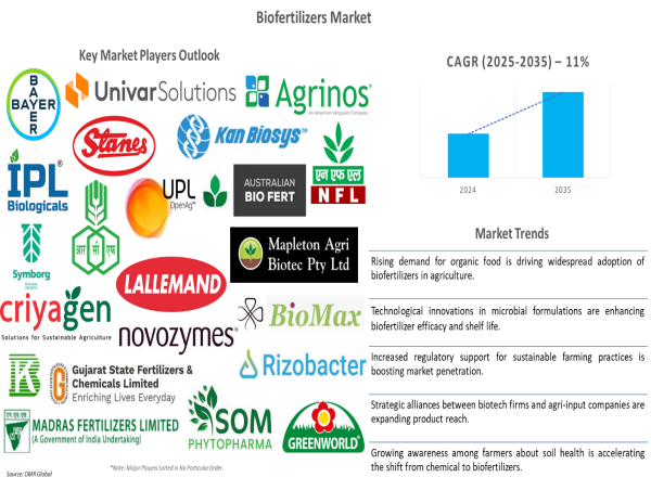 Organic Farming Trend Fuels Biofertilizers Market: Expected CAGR to Hit 11% by 2035