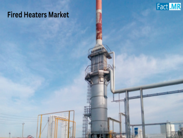  Fired Heaters Market to Total US$ 2.3 Billion by 2035, Expanding at a 6% CAGR- Fact.MR Study 