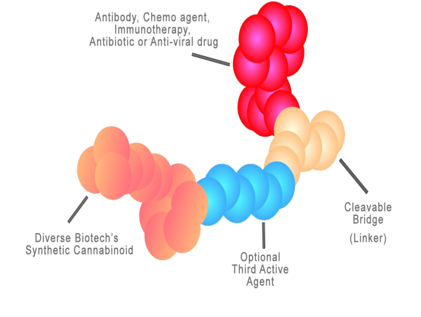 USPTO Grants Patent for Novel Therapeutics for Antibody-Cannabinoid Conjugates