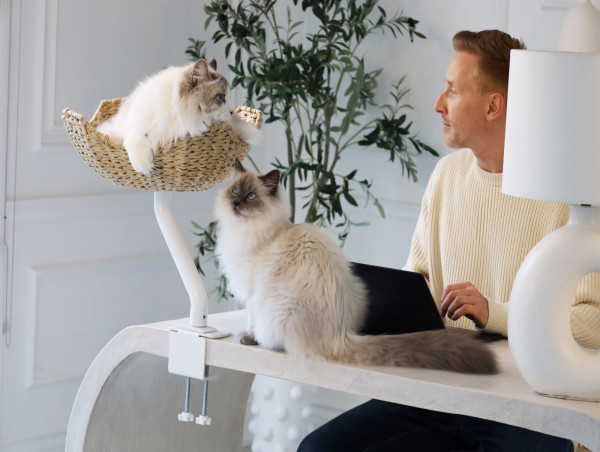 ERGO PURRCH™ Desk-Mounted Cat Bed Sets a New Standard for the Modern Workspace