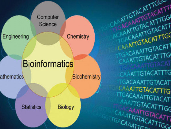 Bioinformatics Market Accelerates on Genomic Data and AI Tools | DataM Intelligence