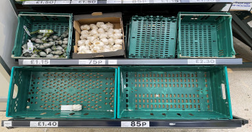 British growers warn of leek shortage due to ‘challenging weather’