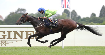 Subjectivist primed for high-profile Saudi return