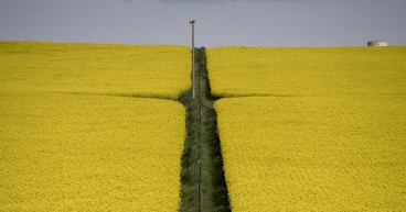 Aussie farmers embrace agriculture tech ahead of UK, US